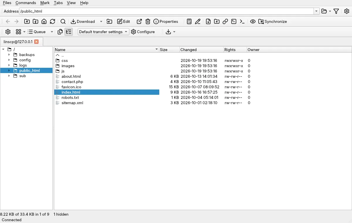 The Explorer layout with a folder tree beside the remote files.
